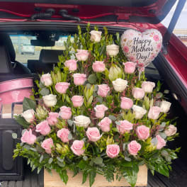 #23 Gran Vista de Rosas