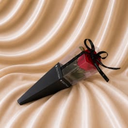 Single red rose in a clear box with a black ribbon