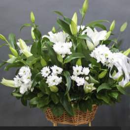 Lily- Chrysanthemum Delight
