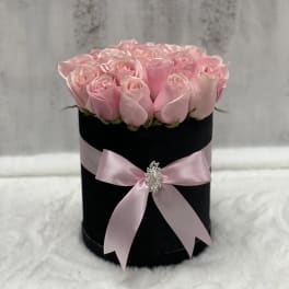 Pink Paradise