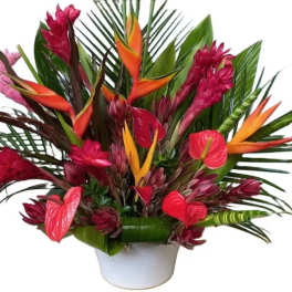 Tropical Delight