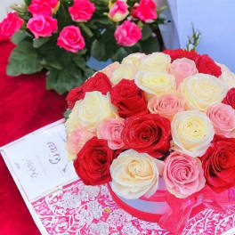 Red Pink and White box design