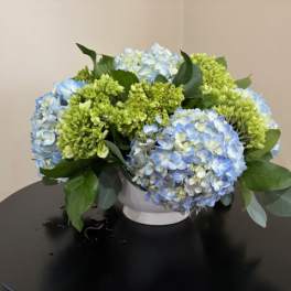 Simply Hydrangeas