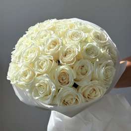 Pearl Blanc