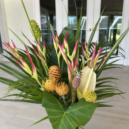 Tropical Splash