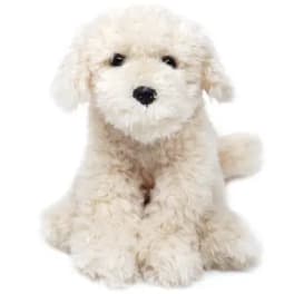 Luka the Labradoodle "Cream"