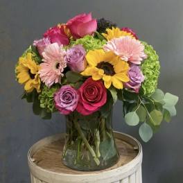 Spring Sensation