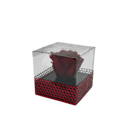 Preserved Rose