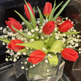 Happy tulips