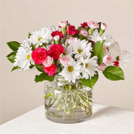 Pink carnations and white daisies in a clear glass vase.