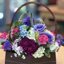 Spring has Sprung