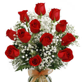 Dozen Roses