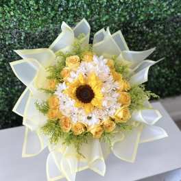 Sunflower springs