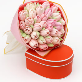 Tulip Kiss