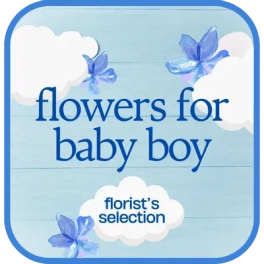 Designer's Choice - Baby Boy $150