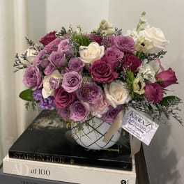 Delicate Lavender