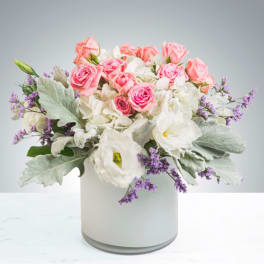 Sweet Cream by BloomNation™