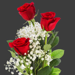 Cheap Love 3 red roses in a vase