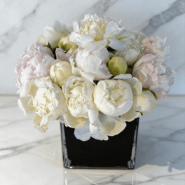 The Purest Peony