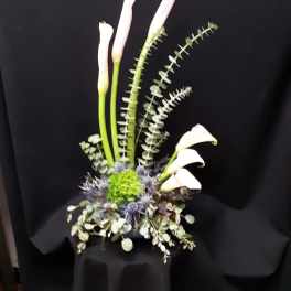 Tall modern arrangement of pale calla lilies with green and blue accents in a low vase