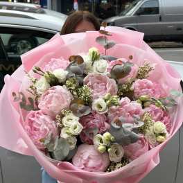 Peony Romance. The photo shows the deluxe size.