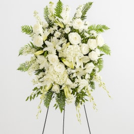 True Sympathy by BloomNation™