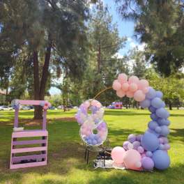Blush Dream Arch
