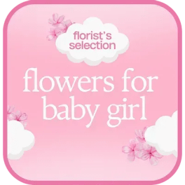 Designer's Choice - Baby Girl $100