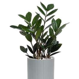 Teleflora's Mid-Mod Classic