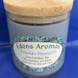 Seaside Plumeria Candle