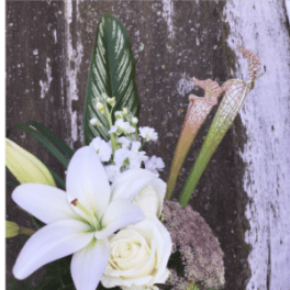 Soft and Subtle Mix