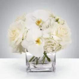 Linen by BloomNation™