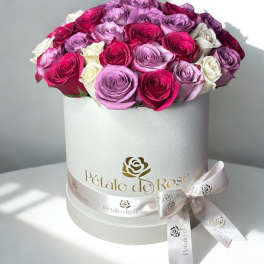 Combination White Box