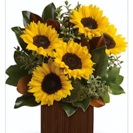Sunflower Delight