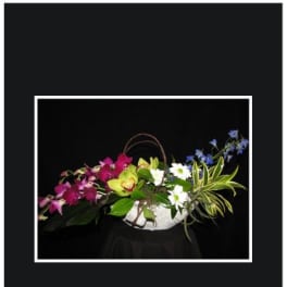 Mixed orchid arrangement in a white bowl with a handle