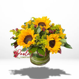 Sunny Sunflower Galore