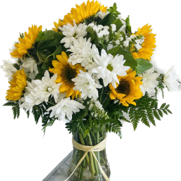 Sunflower surprise