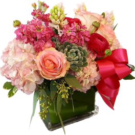 Pink surprise