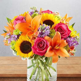 Summer surprise