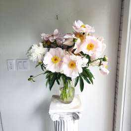 Peony Joy ( Designers Choice)