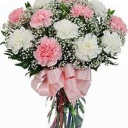 Carnations and baby breath