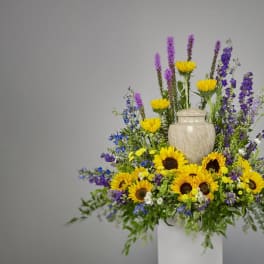 Sunflower Fields Sentiments