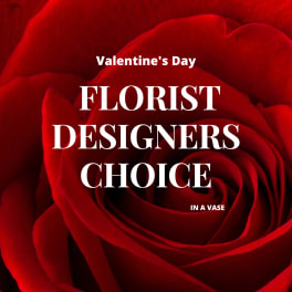 Close-up of a red rose with Valentine’s Day text overlay