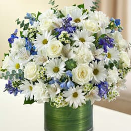 Cherished Memories - Blue and White