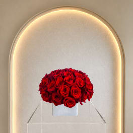 Red Rose Dome