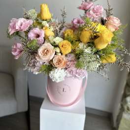 Citrus Bloom Elegance