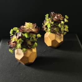 Faux Succulent Duo