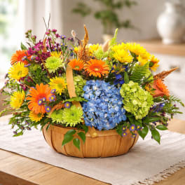 Wildflower Beauty