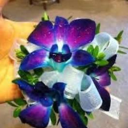 Bouquet of vivid purple-blue calla lilies with white ribbon