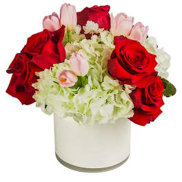 Blossoming Romance by BloomNation™